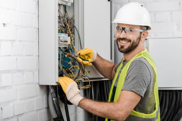 Best Electrical System Inspection  in Pittsfield, IL